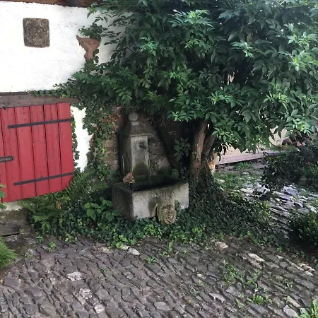 Alter Winzerhof 別荘 *