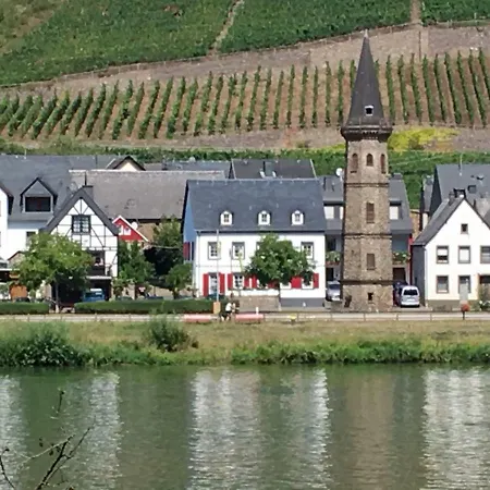 Alter Winzerhof 펜션