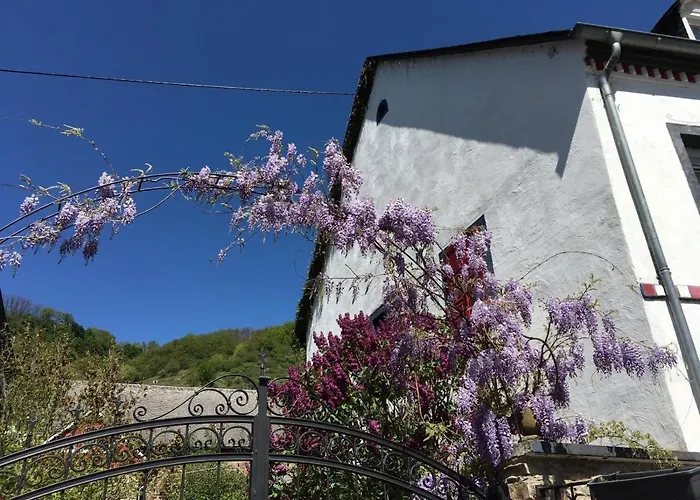 Alter Winzerhof Hatzenport