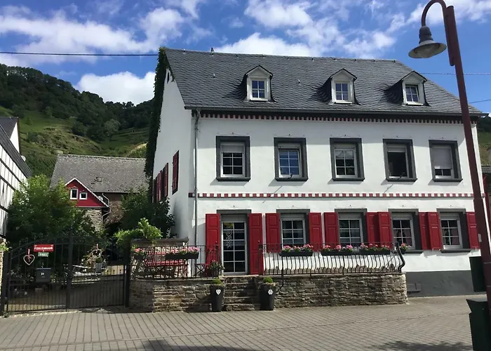 Ferienhaus Alter Winzerhof Hatzenport