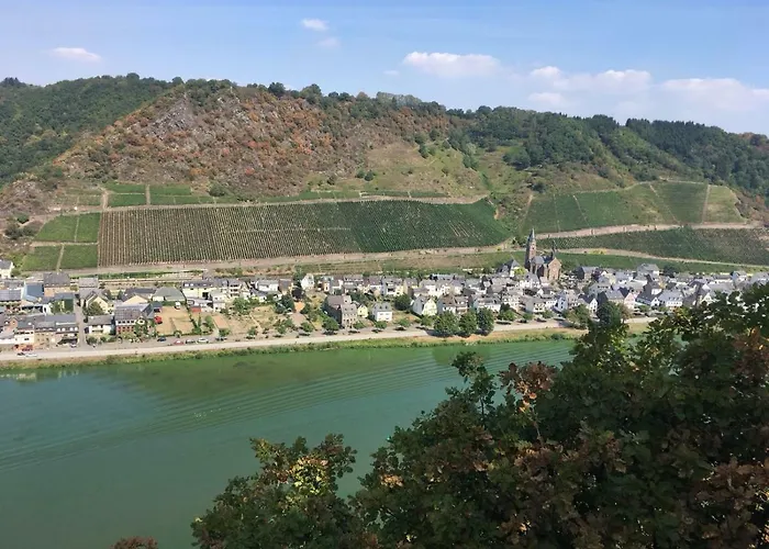 Alter Winzerhof Ferienhaus *